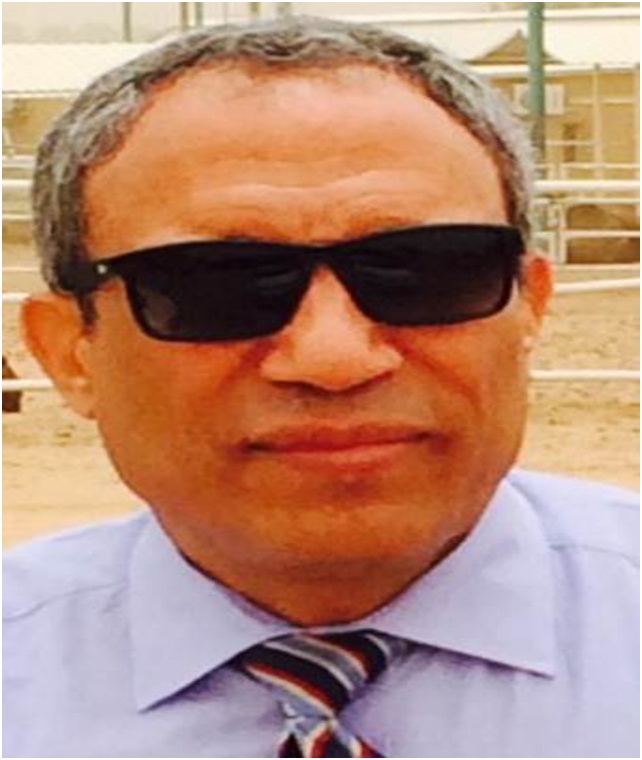 Dr. Elsayed Ibrahim Elagamy