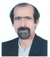 Dr. Abbas Mirshafiey
